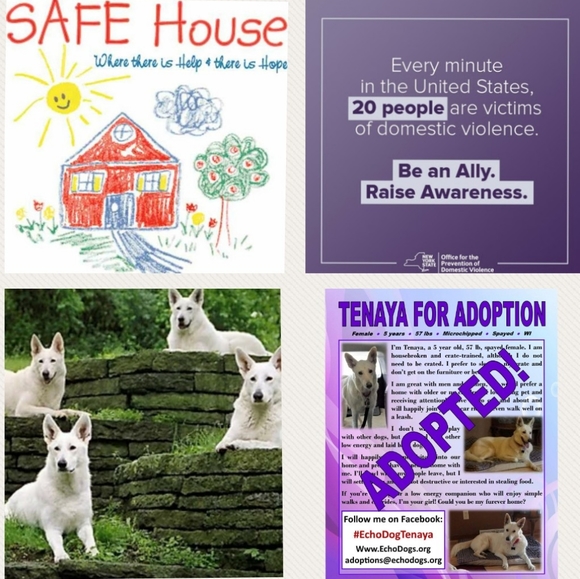 Other - What's the 🏡DV and 🐶 20% Donation all about?